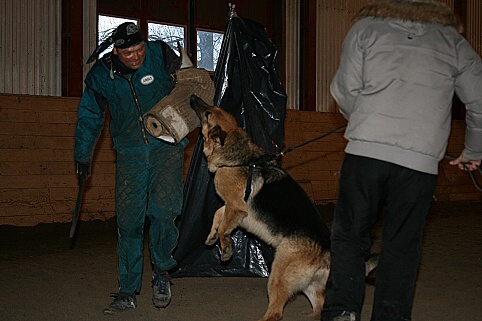 Training in Estonia 3/2007